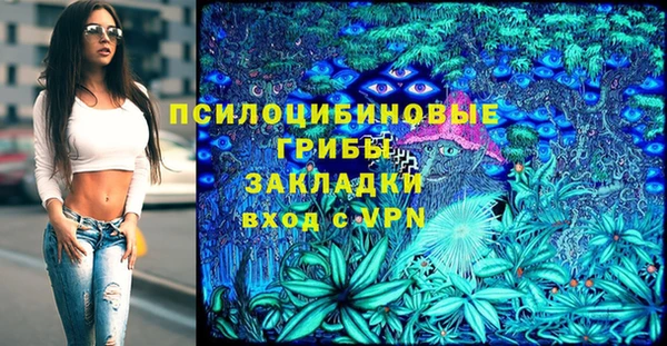 гашик Кодинск