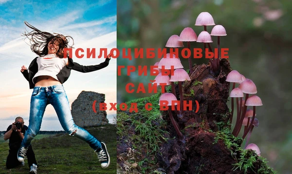 гашик Кодинск