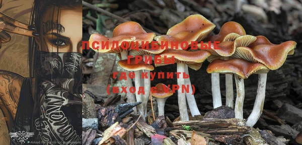 гашик Кодинск
