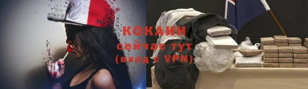 ешки Козловка