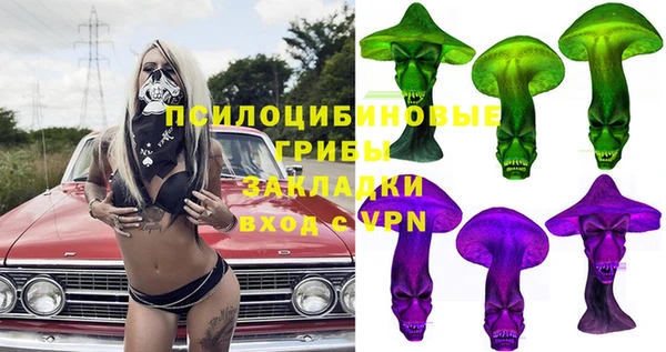 гашик Кодинск
