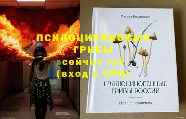 ешки Козловка