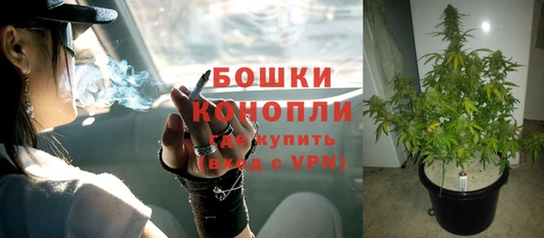 ешки Козловка